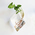 Bubbly™ Hydroponic Vases